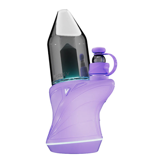 Focus V Carta Sport Lilac Edition