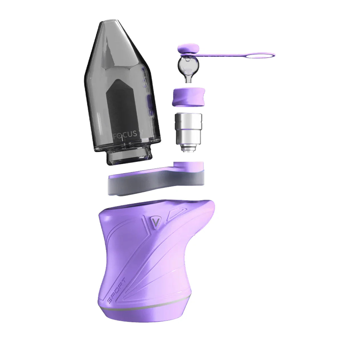 Focus V Carta Sport Lilac Edition