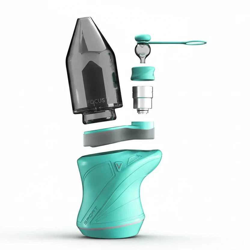 Focus V Carta Sport Teal Edition