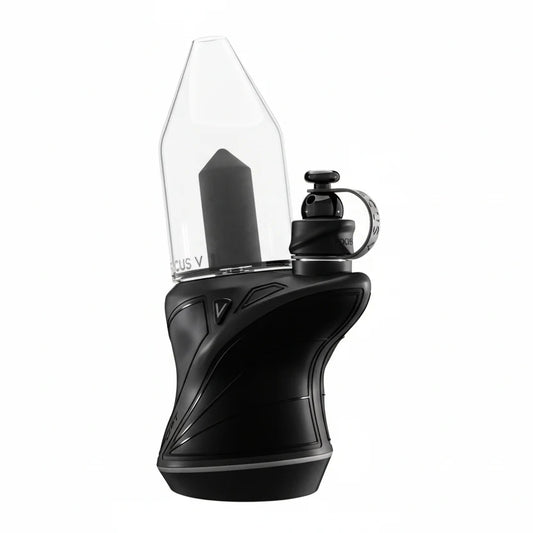 Focus V Carta Sport Black Edition