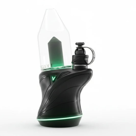 Focus V Carta Sport Black Edition