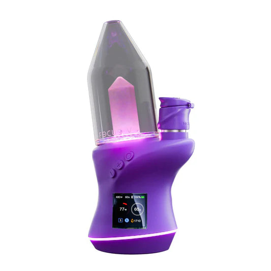 Focus V Carta 2 Kit Grape